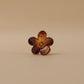 Small Amber Brown Hair Claw Clip – Shell Finish, Combo Pack of 5
