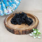 Black decorative flower hair clutcher on a wooden slice with a floral background